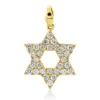 Anhänger aus 585 Gold Gelbgold 30 Brillanten 0,33ct W-SI/PI 18,5x11,5mm mit Öse