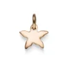 Anhänger Seestern Silhouette 13,5x11mm aus 585 Gold Rotgold glänzend schlicht