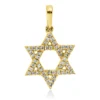 Anhänger Stern aus 750 Gelbgold 48 Brillanten 0,12ct I-PI 16,6x10,2mm mit Öse
