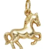 Anhänger 15,9x13,6mm Halsschmuck Pferd aus 333 Gold Gelbgold Kettenanhänger
