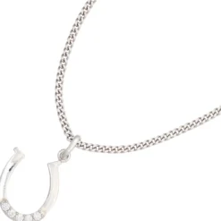 Anhänger 14,4x17,1mm Hufeisen 925 Silber glänzend 5 Zirkonia weiß Kinder