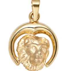 Anhänger 15x18,2mm Sternzeichen Löwe 375 Gold Gelbgold teilmattiert Horoskop