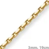 3mm Armband Armkette Ankerkette aus 585 Gold Gelbgold, 19cm, Unisex