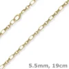 5,5mm Armband Phantasiearmband Armschmuck aus 585 Gold Gelbgold 19cm