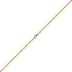 2,5mm Kette Collier Ankerkette aus 585 Gold Gelbgold, 55cm, Unisex