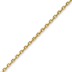 2,5mm Kette Collier Ankerkette aus 585 Gold Gelbgold, 55cm, Unisex